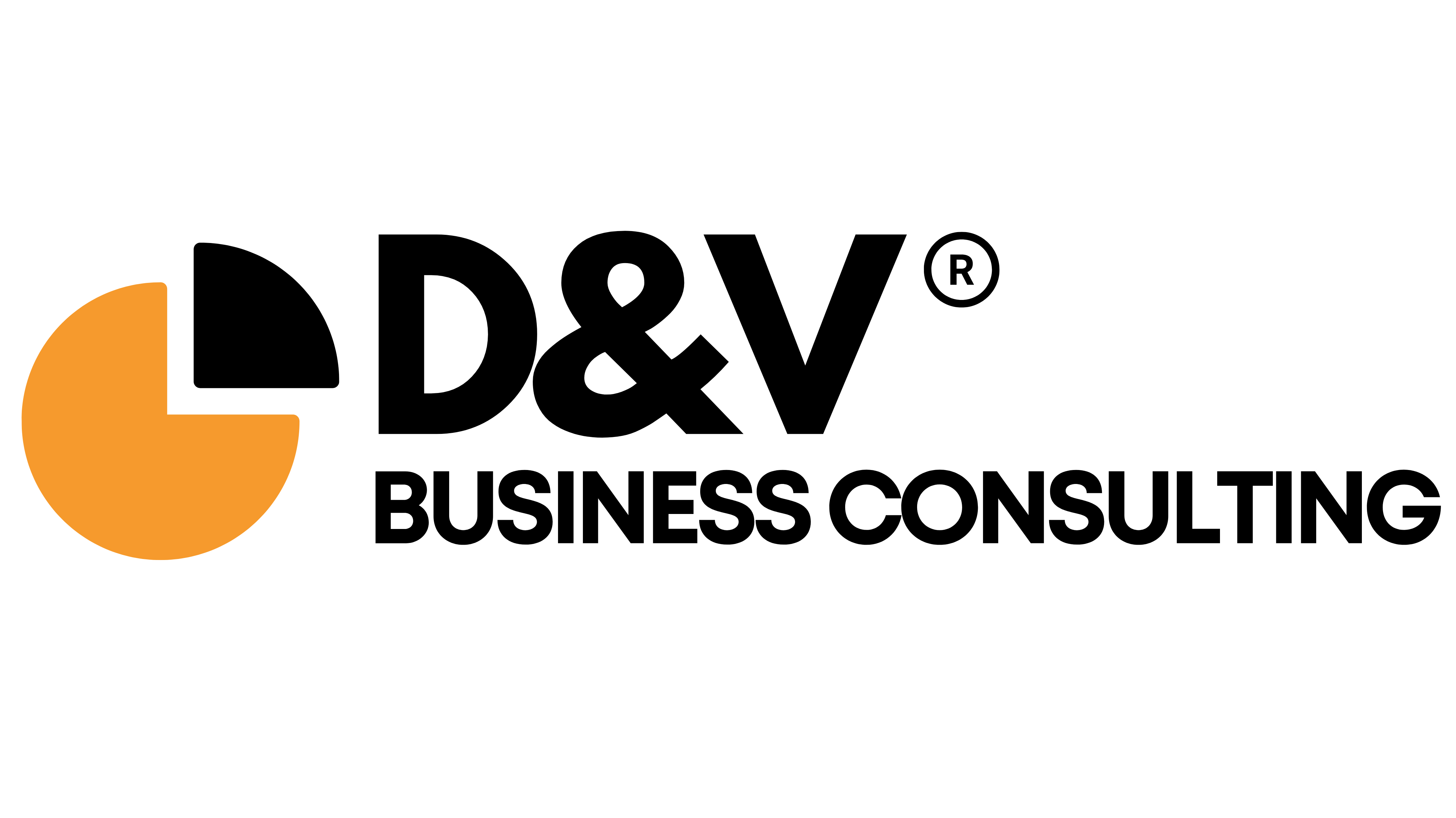 D&V Business Consulting